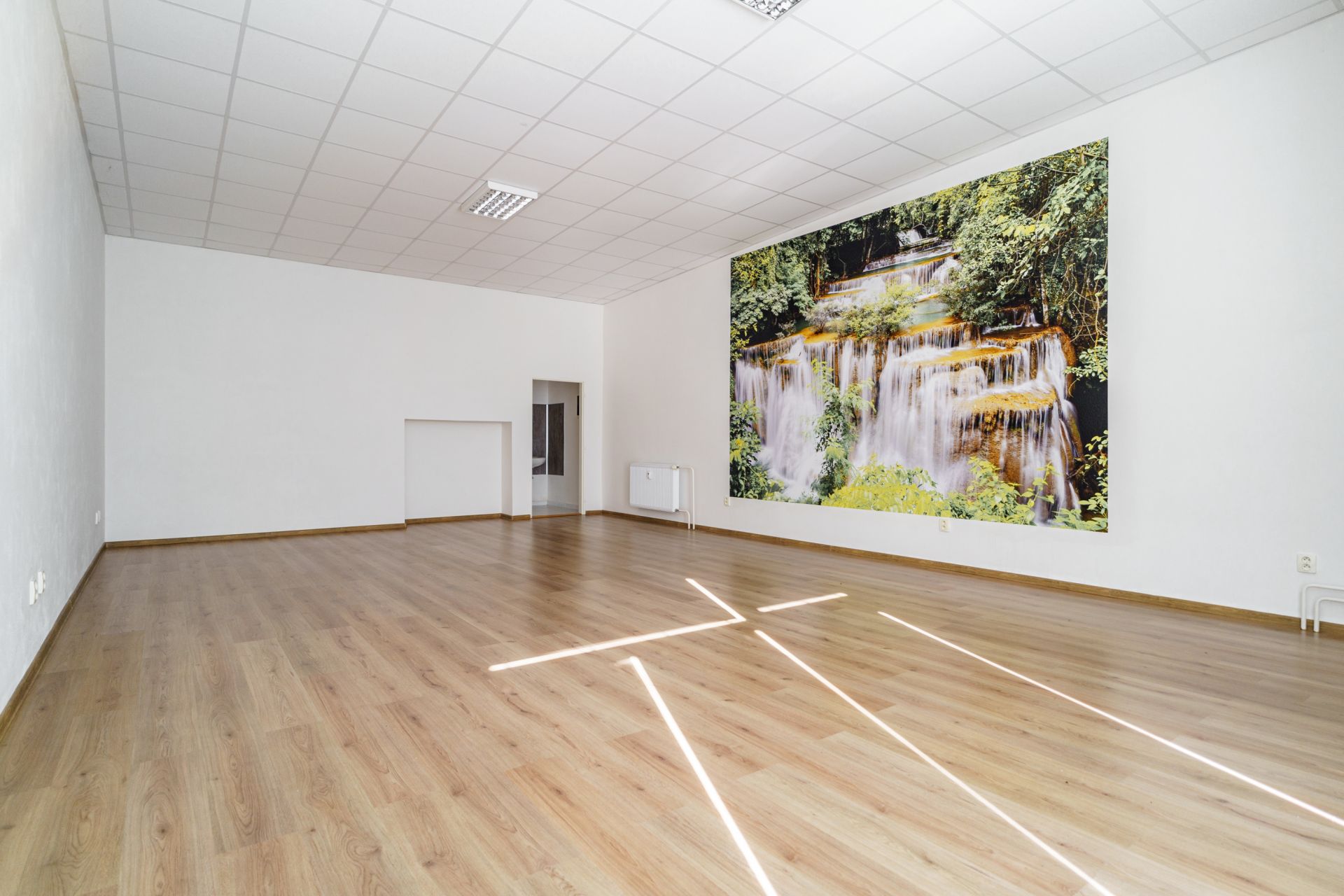 Ponúkame Vám na prenájom priestor o rozlohe viac ako 65 m2 vhodný pre kanceláriu.